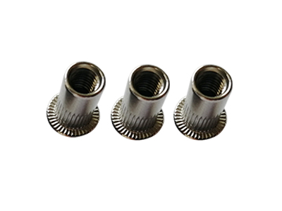 304 flat head vertical pattern rivet nut